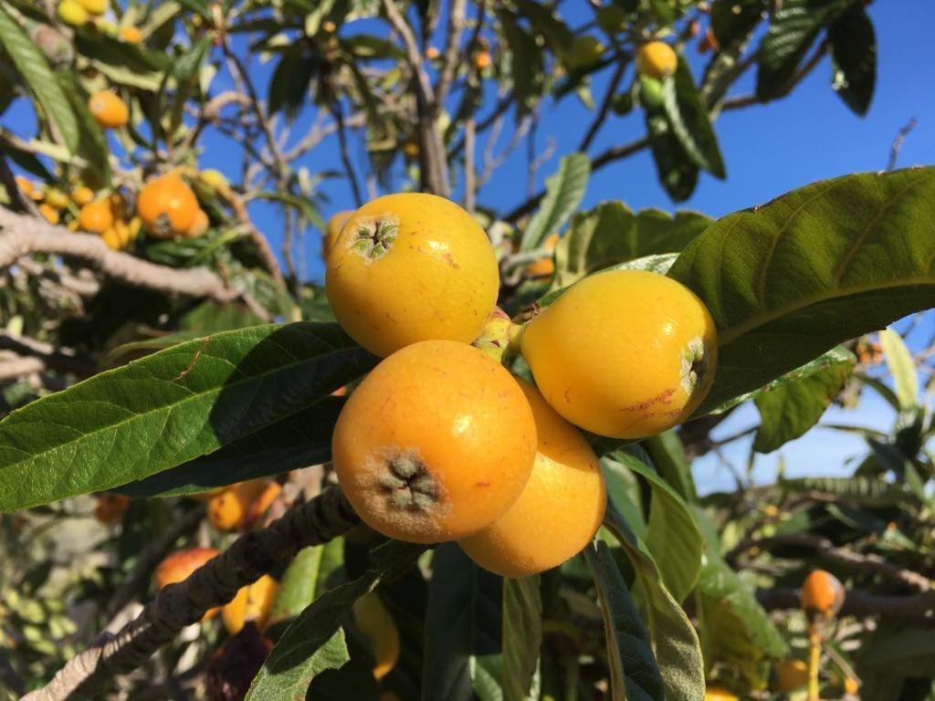 Casa 2Mariposas Βίλα Mijas Εξωτερικό φωτογραφία