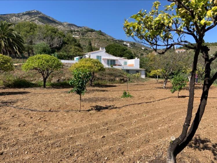 Casa 2Mariposas Βίλα Mijas Εξωτερικό φωτογραφία